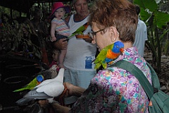 0120 Cairns Tropical Zoo
